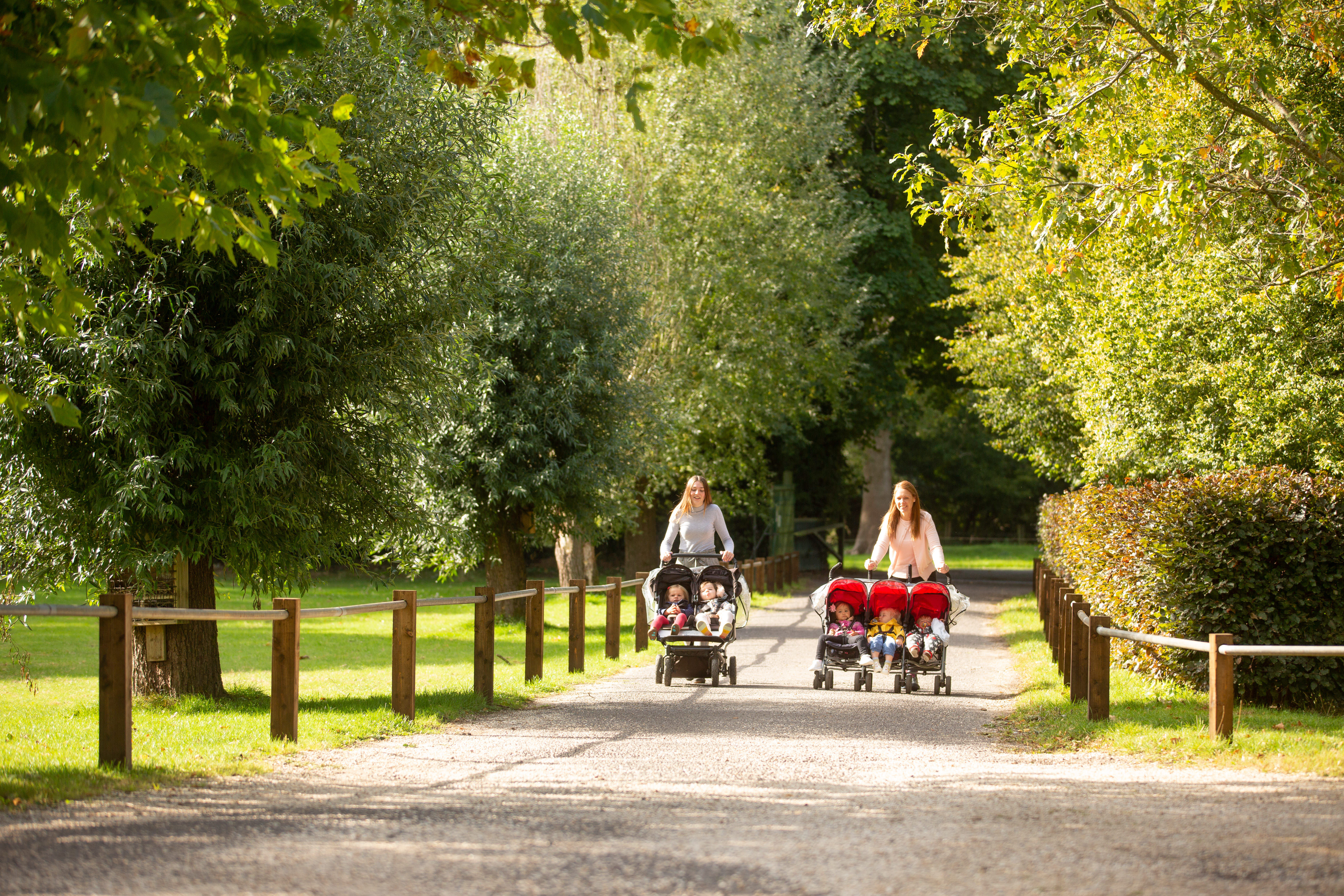 Harriet House School